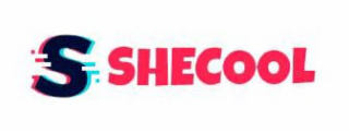 SSHECOOL logo