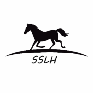 SSLH logo