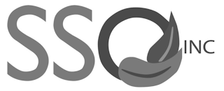 SSO INC logo