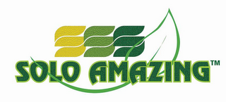 SSS SOLO AMAZING logo