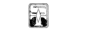 ST logo