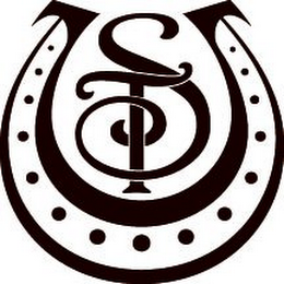 ST logo