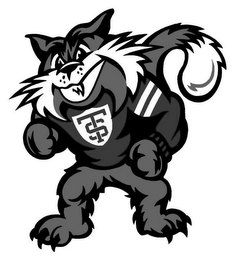 ST logo