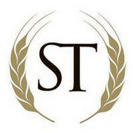 ST logo