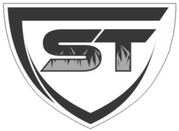 ST logo