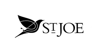 ST JOE logo