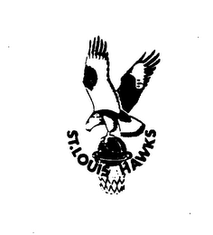 ST. LOUIS HAWKS logo