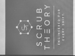 ST SCRUB THEORY ENGINEERED FOR EVERY SHIFT. logo
