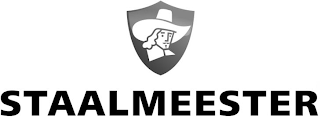 STAALMEESTER logo