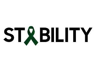 STABILITY logo