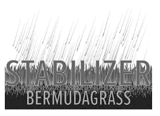 STABILIZER BERMUDAGRASS logo