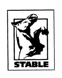 STABLE logo