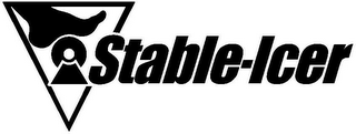 STABLE-ICER logo