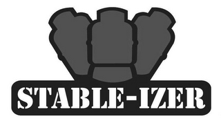 STABLE-IZER logo