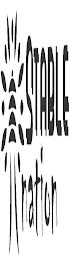 STABLE NATION logo