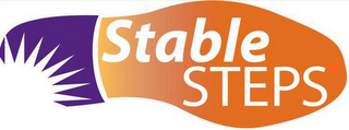 STABLE STEPS logo