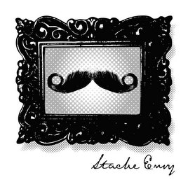 STACHE ENVY logo