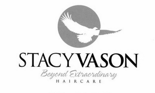 STACY VASON BEYOND EXTRAORDINARY H A I RC A R E logo