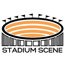 STADIUM SCENE logo