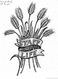 STAFF OF LIFE logo