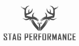 STAG PERFORMANCE logo