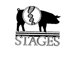 STAGES logo