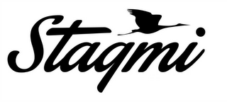 STAGMI logo