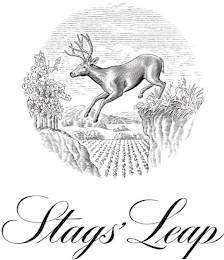 STAGS' LEAP logo
