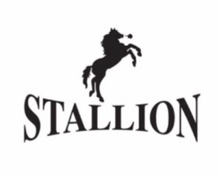 STALLION logo
