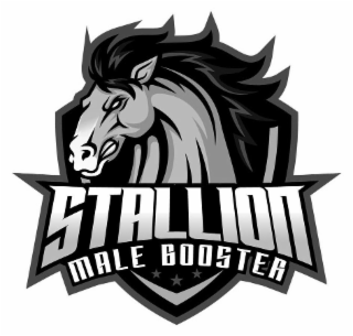 STALLION-MALE BOOSTER logo