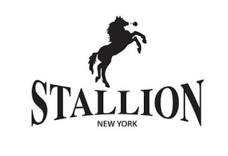 STALLION NEW YORK logo