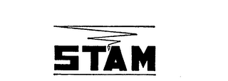 STAM logo