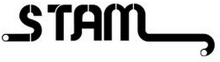 STAM logo