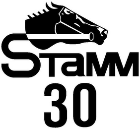 STAMM 30 logo
