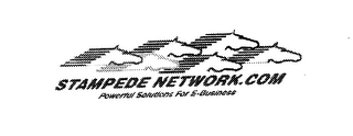 STAMPEDE NETWORK DOT COM POWERFUL SOLUTIONS FOR E-BUSINESS logo