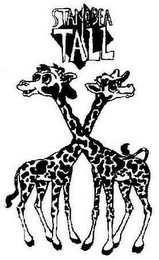 STAN & BEA TALL logo