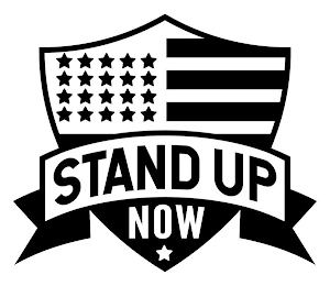 STAND UP NOW logo