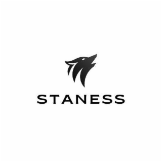 STANESS logo