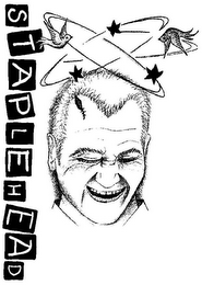 STAPLEHEAD logo