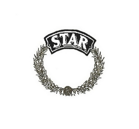 STAR logo