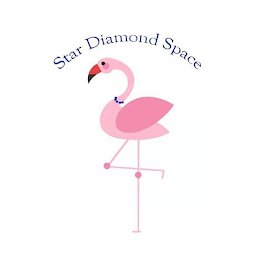 STAR DIAMOND SPACE logo