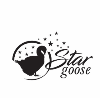 STAR GOOSE logo
