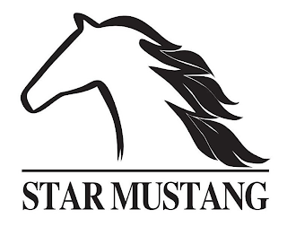 STAR MUSTANG logo