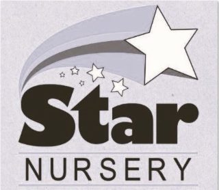 STAR NURSERY logo