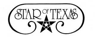 STAR OF TEXAS logo