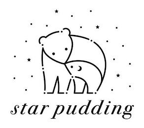 STAR PUDDING logo