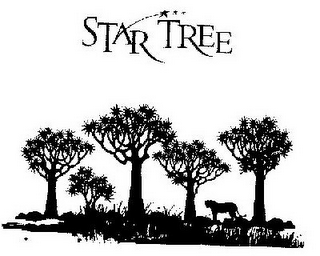 STAR TREE logo
