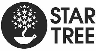 STAR TREE logo