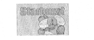 STARBURST logo