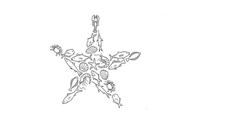 STARFISH logo